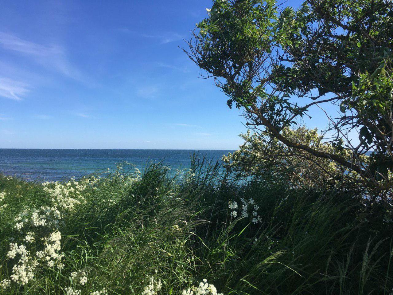 Traumhaftes Strand-Apartment Mit Meerblick Staberdorf Bagian luar foto